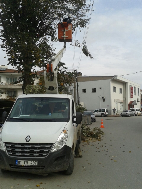 Tehlike Saçan Darı Kestiler