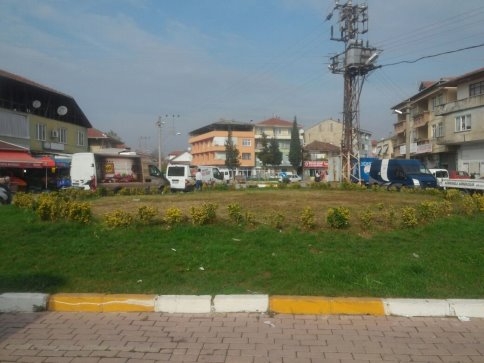 Akyazı'da Palmiye Ağaçları  Sokakları Süsleyecek