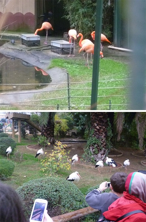 İmam Hatip Ortaokulu’ndan Denizaltı Gezisi