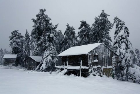 Yayla'da Kış...