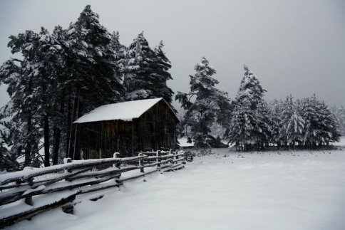 Yayla'da Kış...