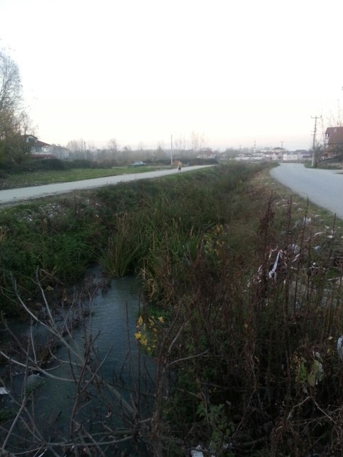 Ankara Ziyaretleri Meyvesini Vermeye başladı.