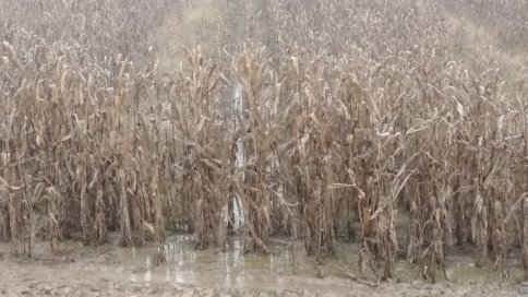 Arazi Su Altında Kaldı