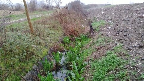 Arazi Su Altında Kaldı