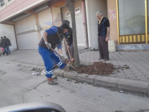Akyazı Belediyesi Doğal Çevreyi Ve Güzellikleri Koruyor