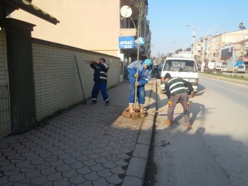 Akyazı Belediyesi Doğal Çevreyi Ve Güzellikleri Koruyor