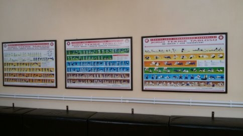 Akyazı Belediyesi Judo Salonu Açılıyor