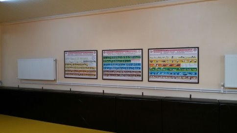 Akyazı Belediyesi Judo Salonu Açılıyor