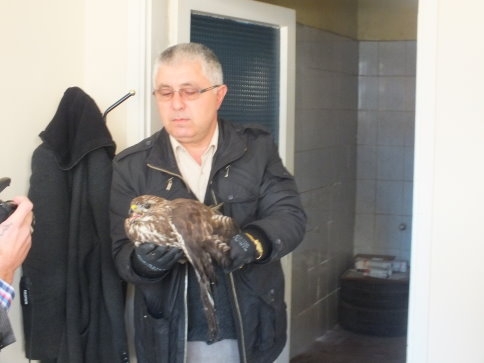 Yaralı Doğan Yetkililere Teslim Edildi