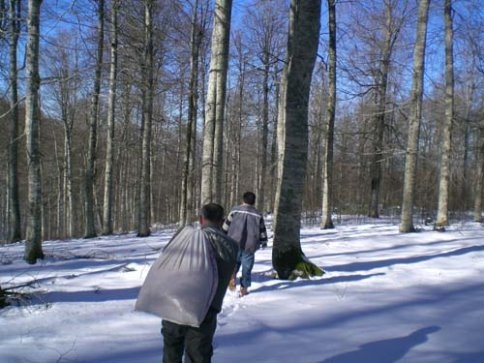 YABAN HAYVANLARA YEM BIRAKILDI