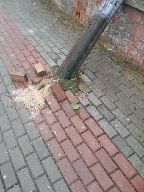 Rüzgar hayatı olumsuz etkiliyor