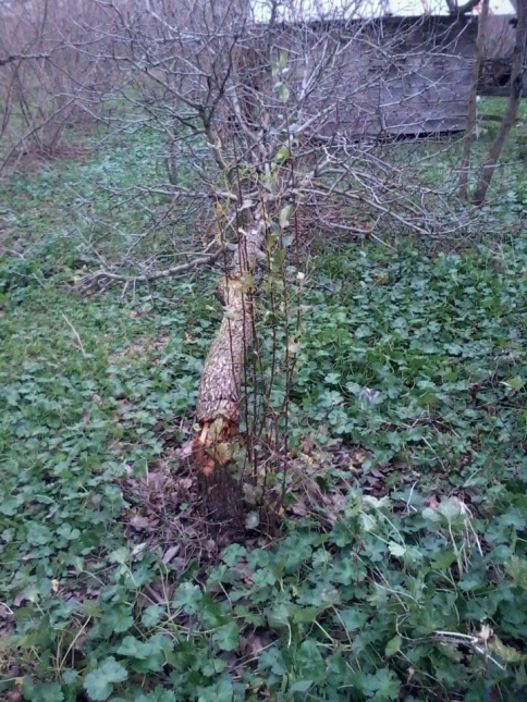 Rüzgar hayatı olumsuz etkiliyor