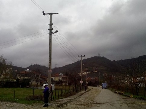 Kavak Ağacı Maheyi Elektriksiz Bıraktı