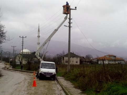 Kavak Ağacı Maheyi Elektriksiz Bıraktı