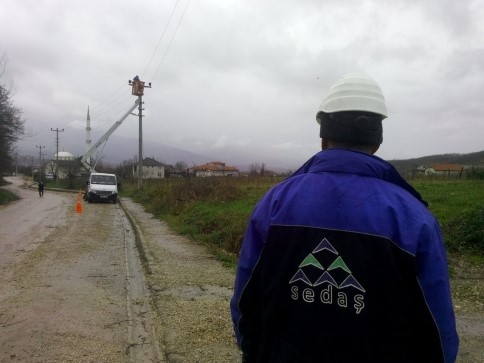 Kavak Ağacı Maheyi Elektriksiz Bıraktı