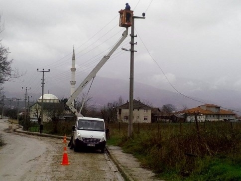 Kavak Ağacı Maheyi Elektriksiz Bıraktı