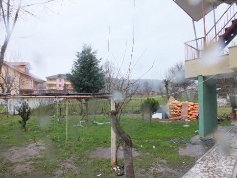 Dut Ağacı Çiçek Açtı