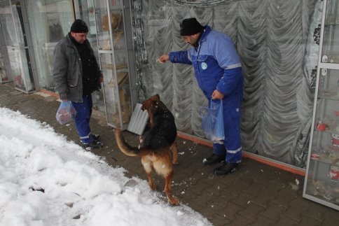 Akyazı Belediyesi Soğuk Kış Şartlarında Sahipsiz Hayvanların Bakım Ve Rehabilite İşlemini Sürdürüyor