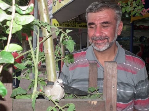 İrfan Alemdar  Hayatını Kaybetti