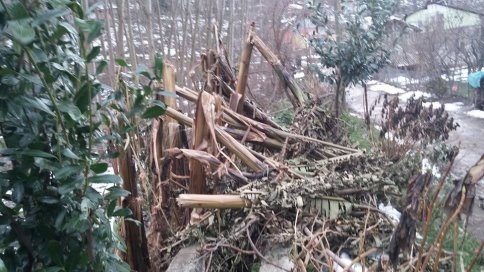 Şiddetli Rüzgar İlçede Etkili Oldu
