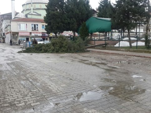 Şiddetli Rüzgar İlçede Etkili Oldu