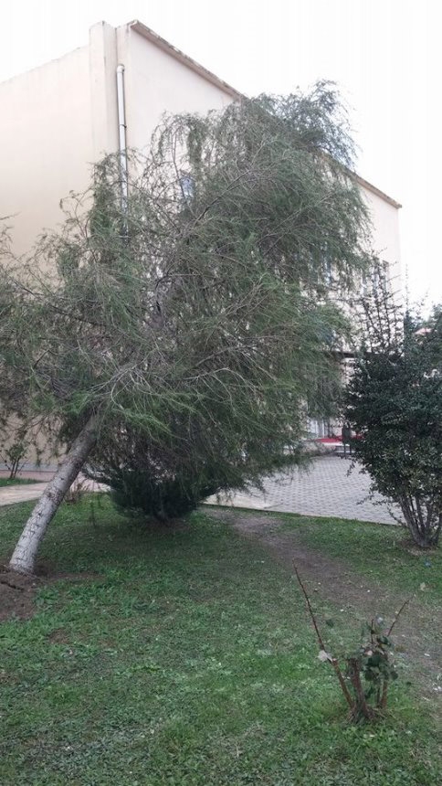 Şiddetli Rüzgar İlçede Etkili Oldu