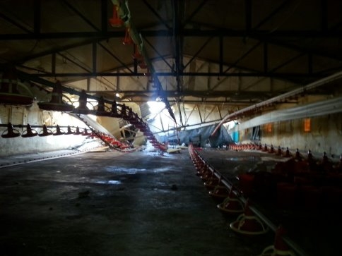 Tek Gelir Kaynağı Çöktü