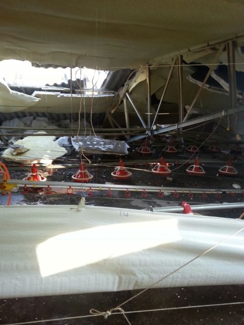 Tek Gelir Kaynağı Çöktü