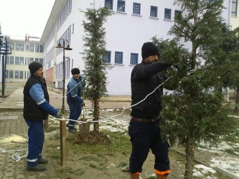 Akyazı Belediyesinden Fırtına Ve Kar Sebebiyle Zarar Gören Ağaçlara Bakım