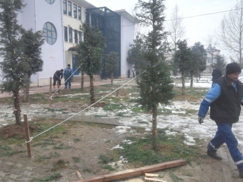 Akyazı Belediyesinden Fırtına Ve Kar Sebebiyle Zarar Gören Ağaçlara Bakım