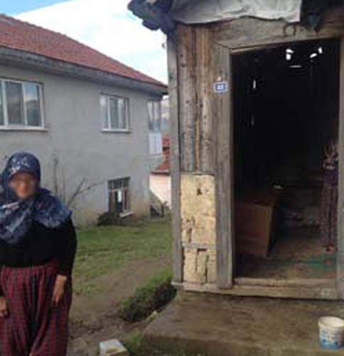 Kültür Ve Sosyal İşler Dolu Dizgin