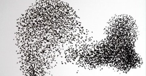 Sığırcık Kuşlarının Gökyüzündeki Dansı