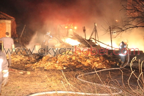 Akminare'de Ahırda Yangın Çıktı Dört Hayvan Telef Oldu