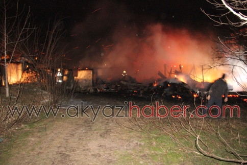 Akminare'de Ahırda Yangın Çıktı Dört Hayvan Telef Oldu