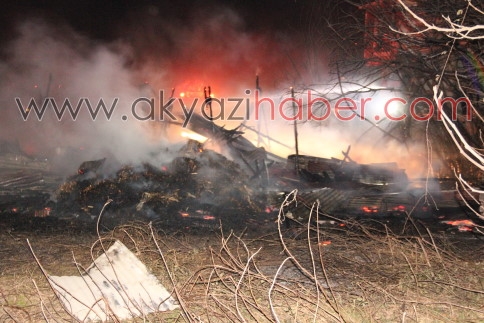 Akminare'de Ahırda Yangın Çıktı Dört Hayvan Telef Oldu