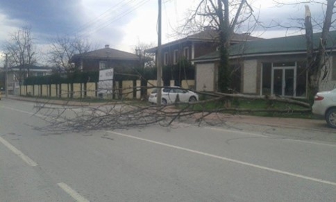 Sedaş Olumsuzluklarla Mücadele Ediyor