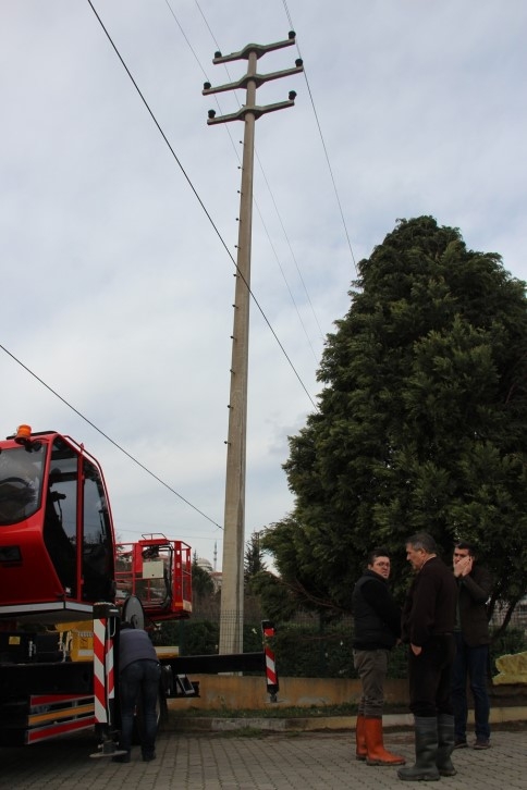 Sedaş Olumsuzluklarla Mücadele Ediyor