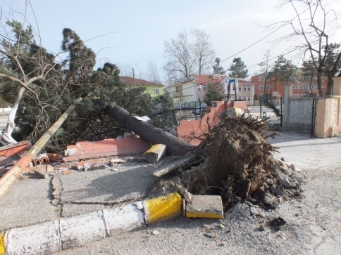 Kuzuluk'ta Şiddetli Lodos Hayatı Olumsuz Etkiliyor