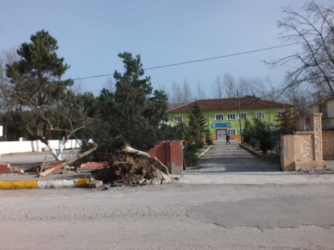 Kuzuluk'ta Şiddetli Lodos Hayatı Olumsuz Etkiliyor