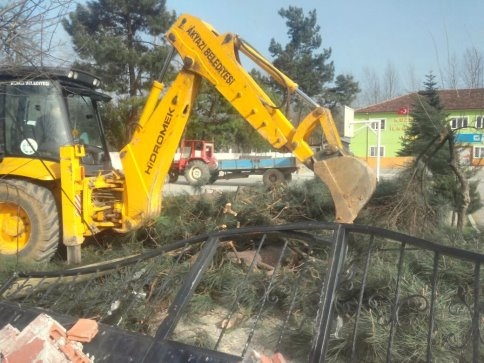 Akyazı Belediyesinden Rüzgarda Zarar Gören Ağaçlara Müdahale