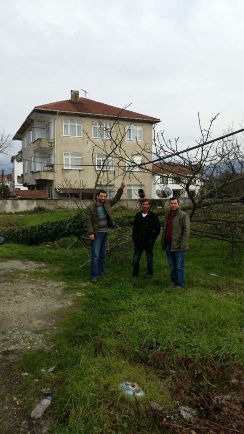 Devrilmek Üzere Olan Telefon Direği Bir Aydır Kaldırılmadı