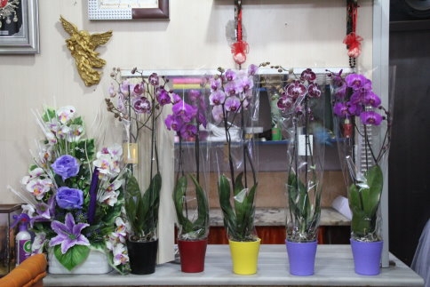 En Güzel Sevgililer Günü Hediyesi