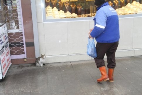 Akyazı Belediyesi Sahipsiz Hayvanların Bakım Ve Rehabilite İşlemine Devam Ediyor