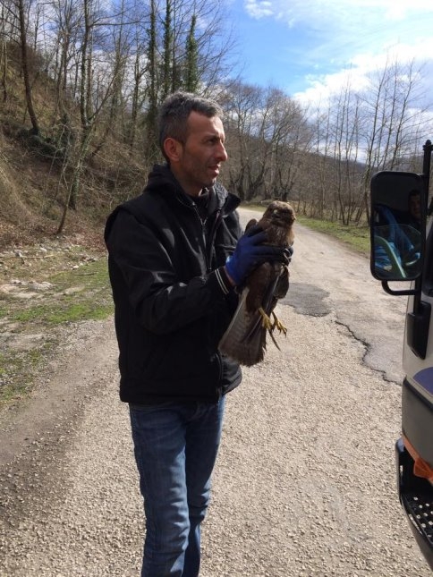 Yaralı Atmaca'ya Şefkat Eli