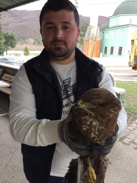 Yaralı Atmaca'ya Şefkat Eli