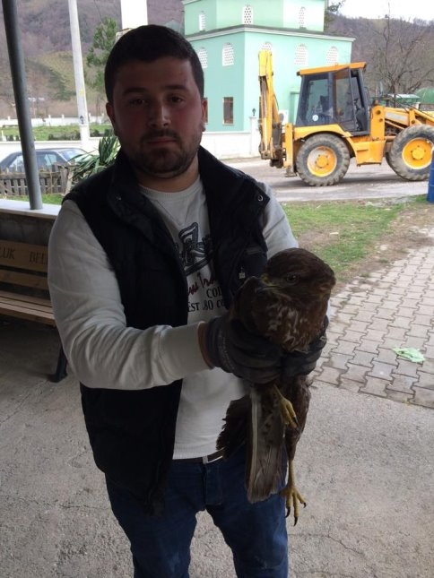 Yaralı Atmaca'ya Şefkat Eli