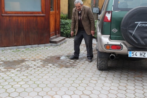 Atölye 'de Ağacı Keserken İçinden Sincaplar Çıktı