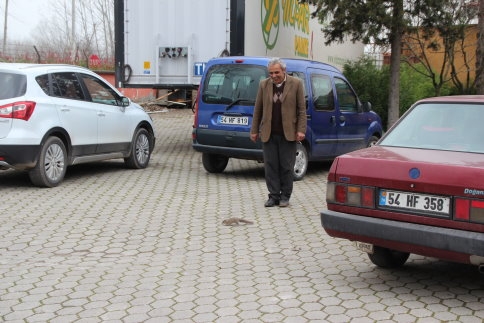 Atölye 'de Ağacı Keserken İçinden Sincaplar Çıktı