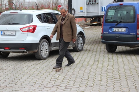 Atölye 'de Ağacı Keserken İçinden Sincaplar Çıktı