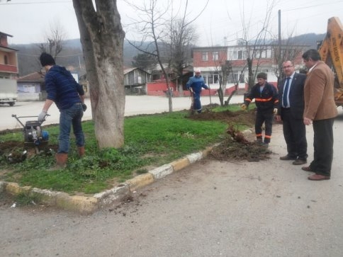 Akyazı Belediyesi Park Ve Bahçeler Müdürlüğü Hız Kesmiyor…